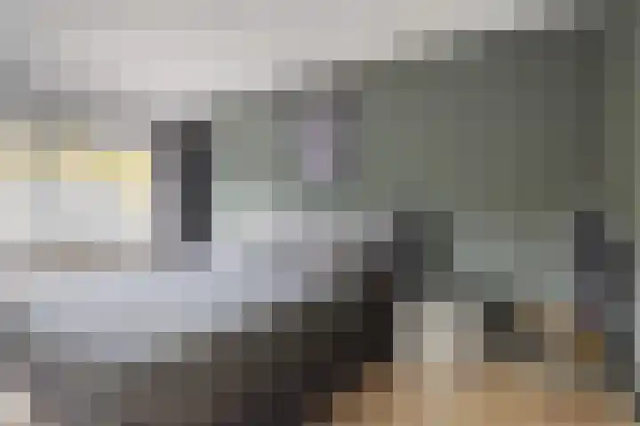 Blekerwei 23 Valkenswaard thumbnail 14