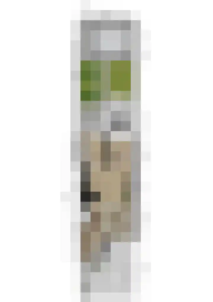 Blekerwei 23 Valkenswaard thumbnail 27
