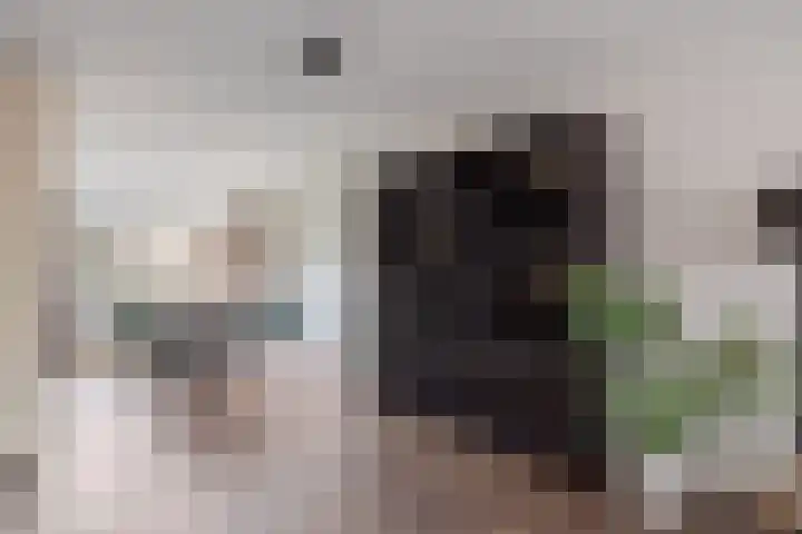 Blekerwei 23 Valkenswaard thumbnail 6