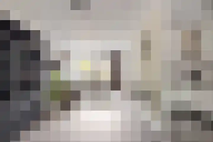 Blekerwei 23 Valkenswaard thumbnail 7