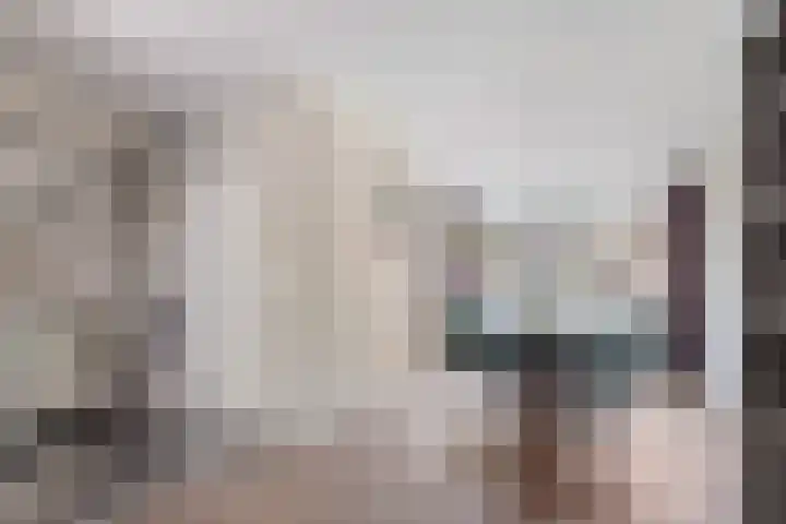 Blekerwei 23 Valkenswaard thumbnail 8