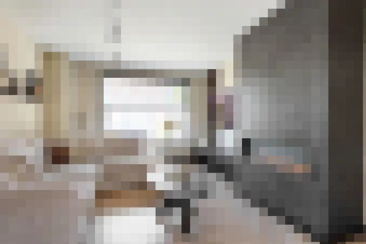 Blerckweg 25 't Harde thumbnail 13