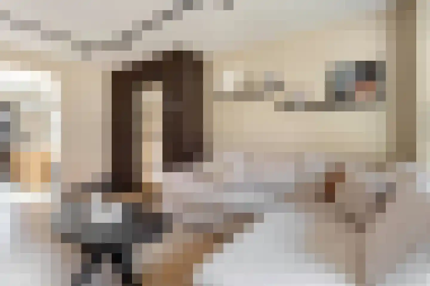Blerckweg 25 't Harde thumbnail 15