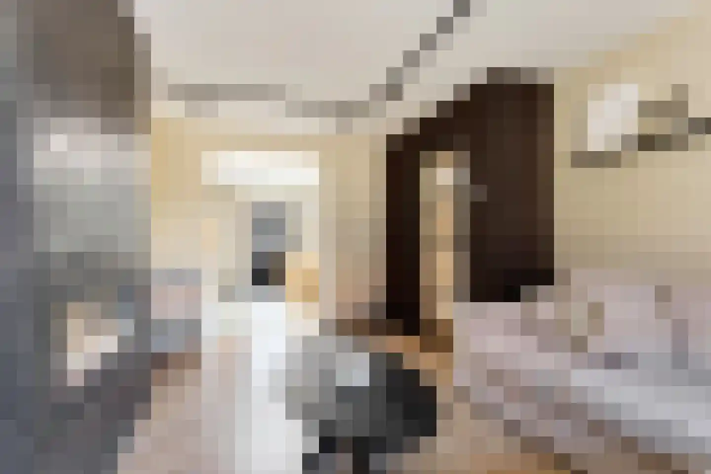 Blerckweg 25 't Harde thumbnail 16