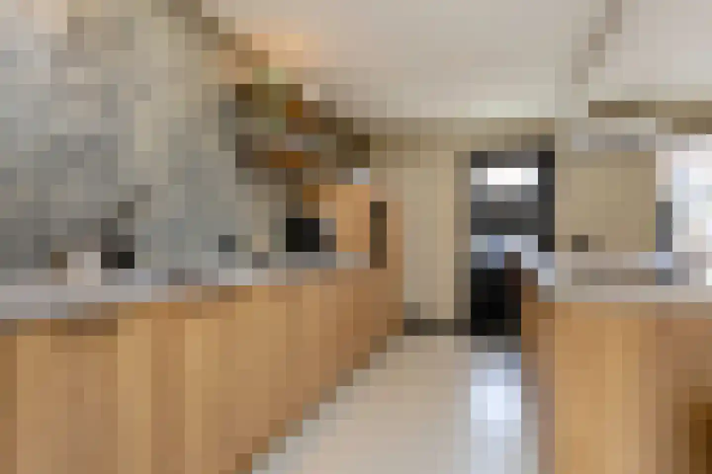 Blerckweg 25 't Harde thumbnail 17