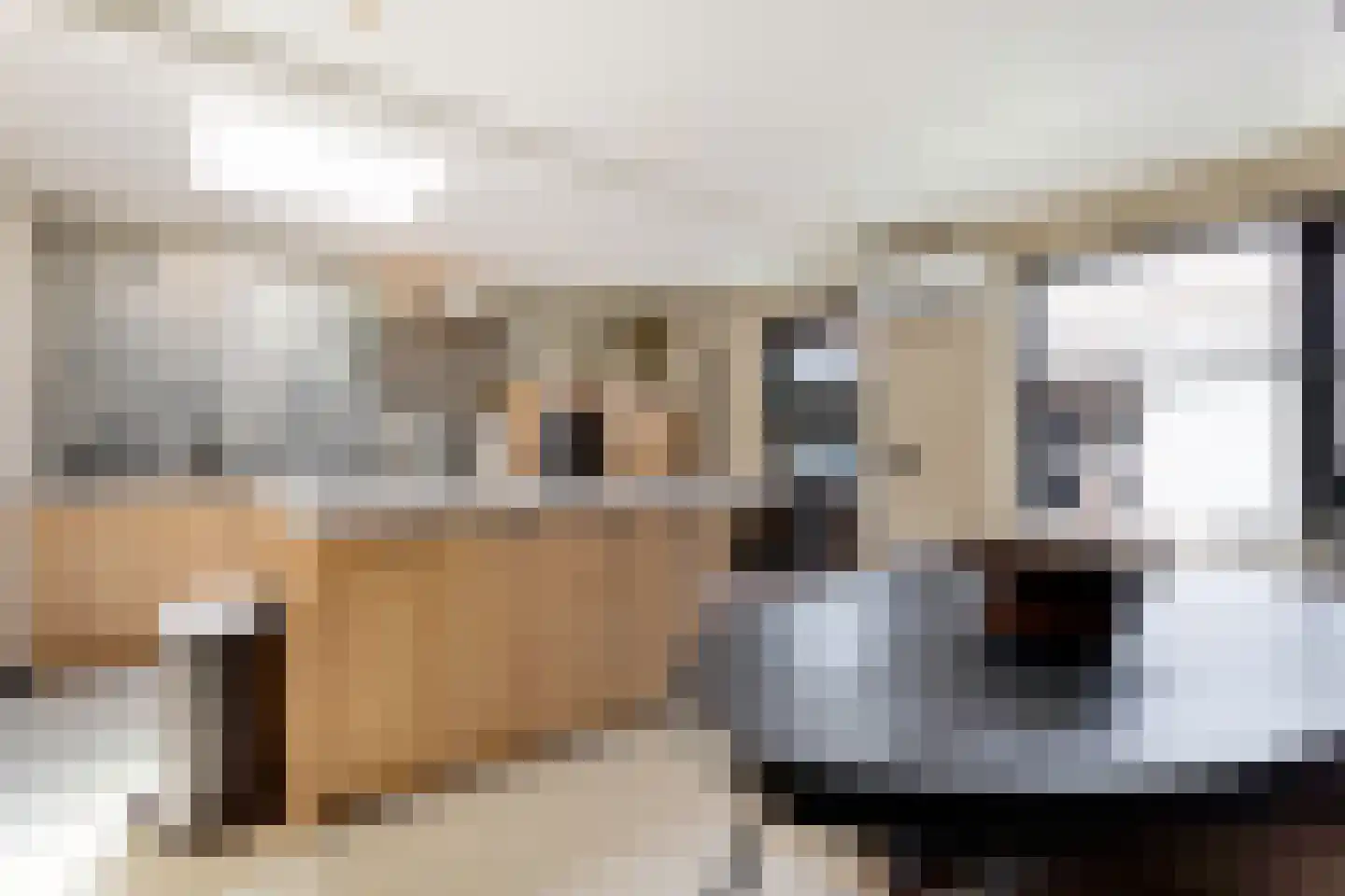 Blerckweg 25 't Harde thumbnail 18