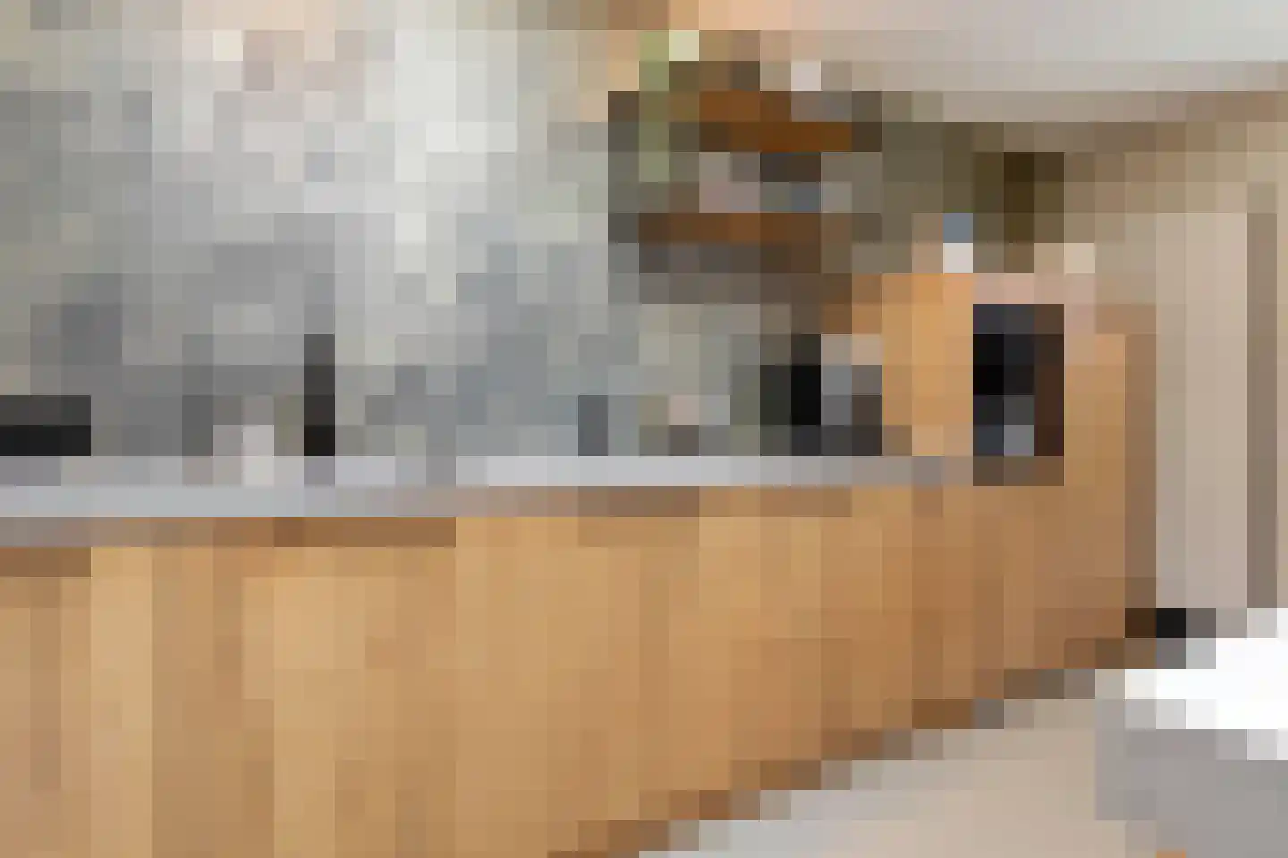 Blerckweg 25 't Harde thumbnail 19