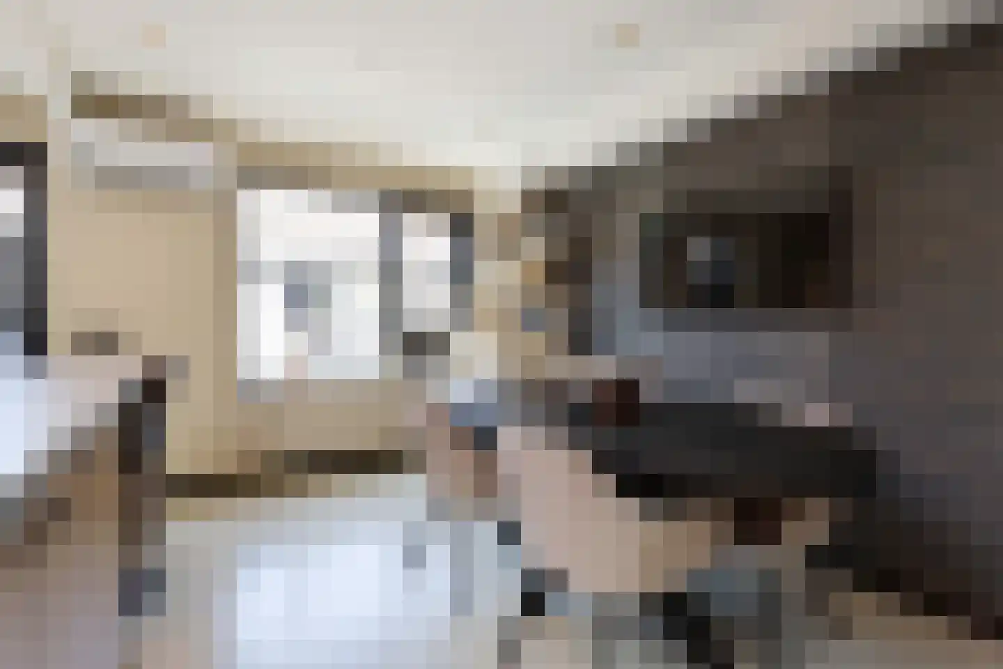 Blerckweg 25 't Harde thumbnail 23