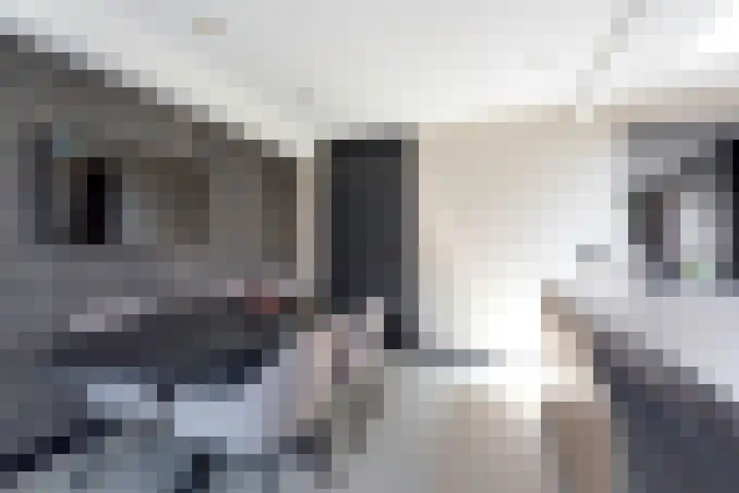 Blerckweg 25 't Harde thumbnail 24