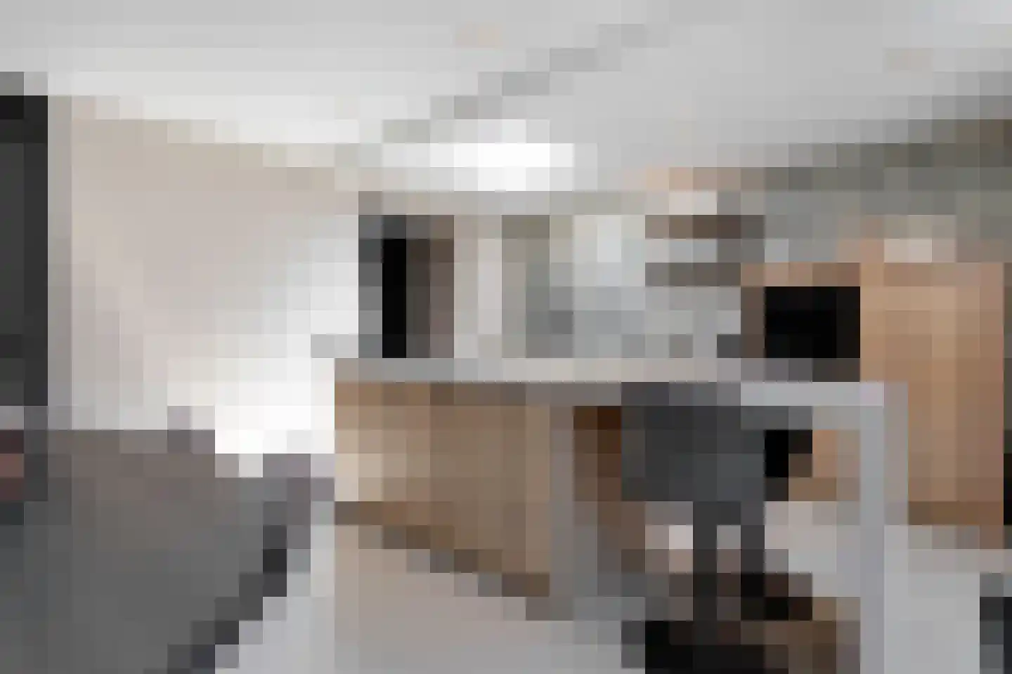 Blerckweg 25 't Harde thumbnail 25