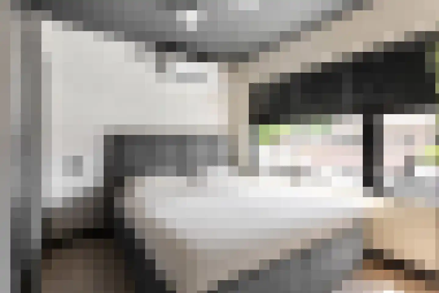 Blerckweg 25 't Harde thumbnail 30