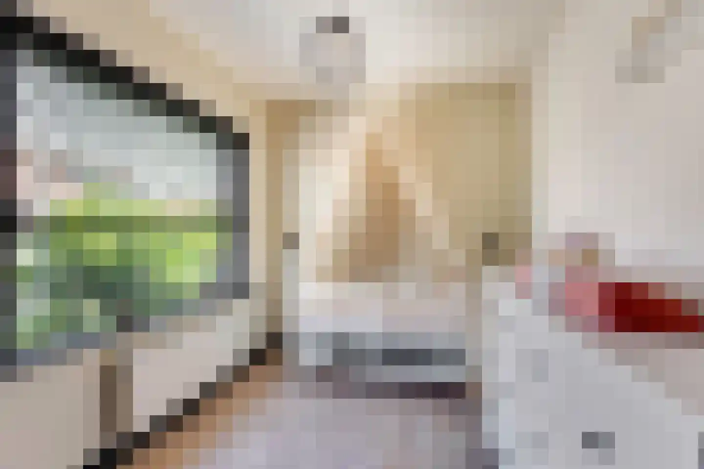 Blerckweg 25 't Harde thumbnail 33