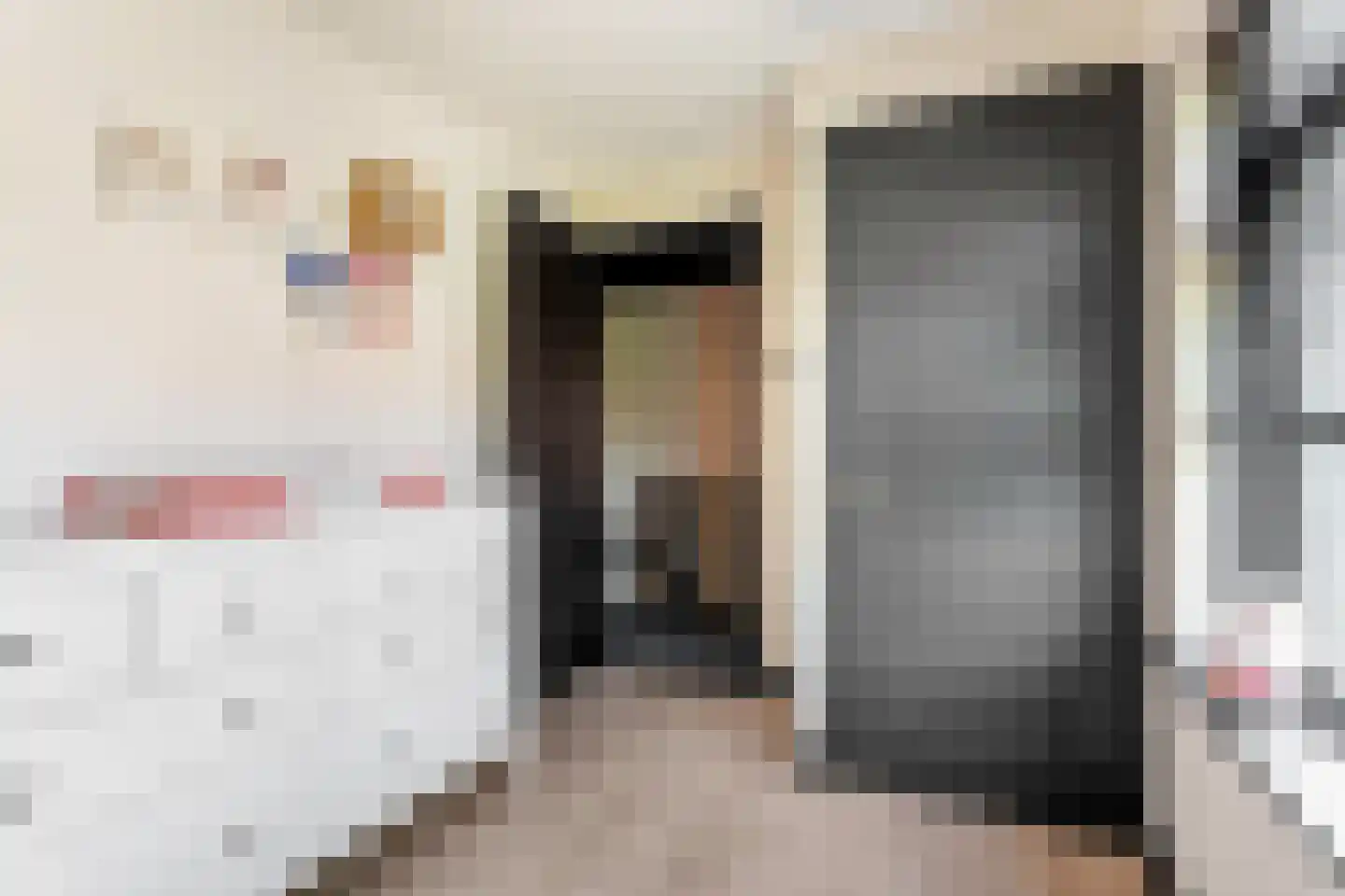 Blerckweg 25 't Harde thumbnail 34