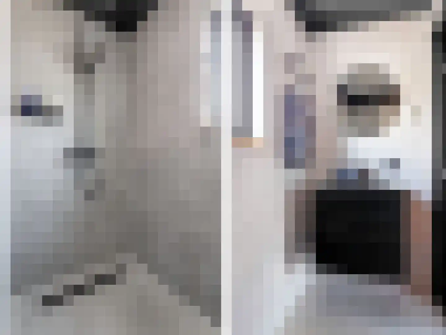 Blerckweg 25 't Harde thumbnail 35