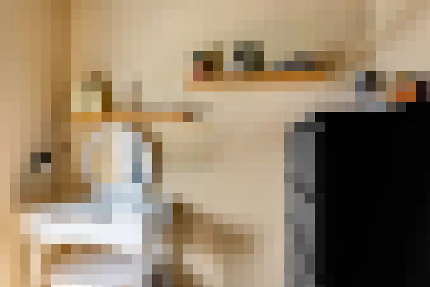Blerckweg 25 't Harde thumbnail 38