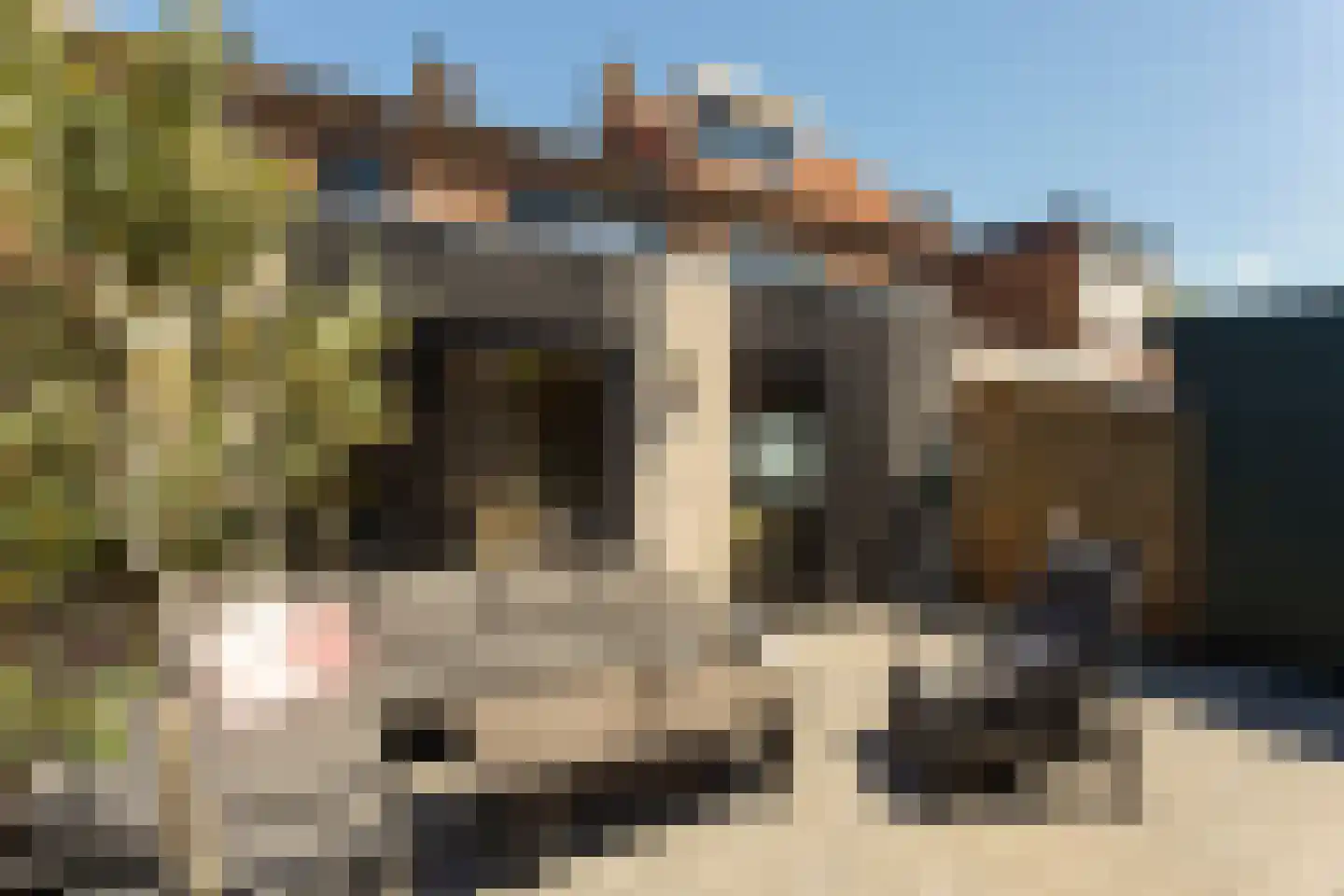 Blerckweg 25 't Harde thumbnail 44