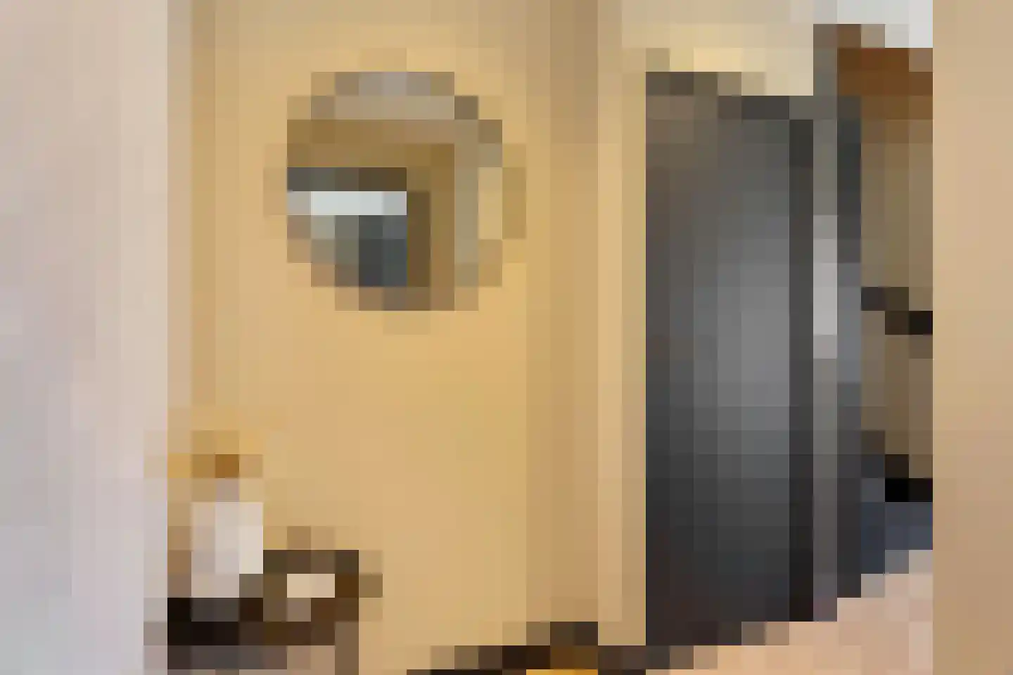 Blerckweg 25 't Harde thumbnail 8
