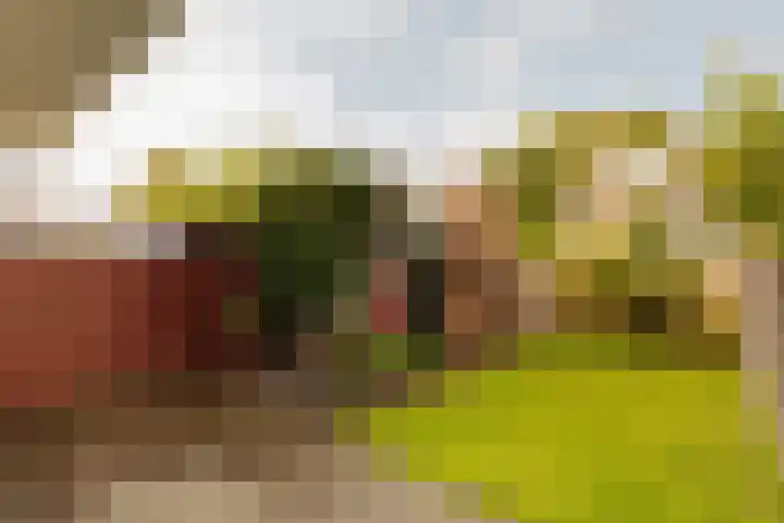 Blériotlaan 11 Amstelveen thumbnail 11