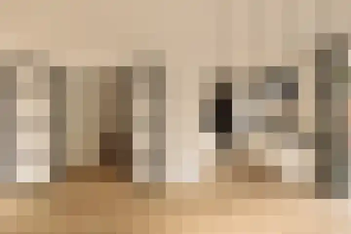 Blériotlaan 11 Amstelveen foto 2