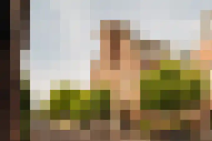 Blériotlaan 11 Amstelveen thumbnail 34