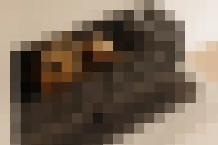 Blériotlaan 11 Amstelveen thumbnail 5