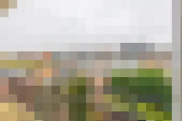 Blériotlaan 22 Amstelveen thumbnail 23