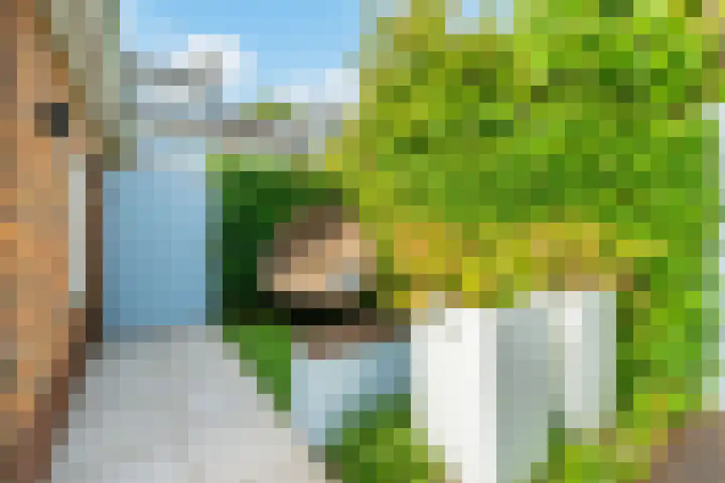 Blériotlaan 23 Amstelveen thumbnail 47