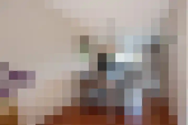 Blériotlaan 52 Den Haag thumbnail 14
