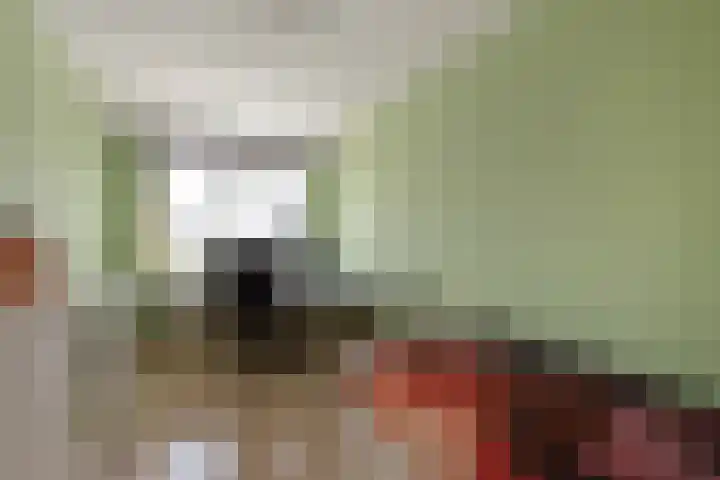 Blériotlaan 52 Den Haag thumbnail 21