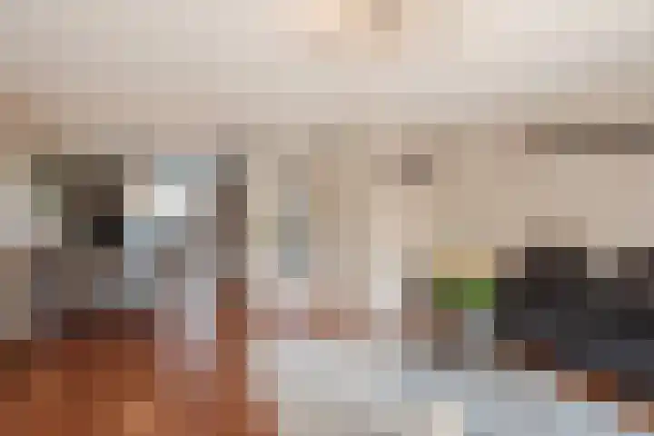 Blériotlaan 52 Den Haag thumbnail 9
