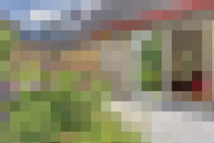 Blériotstraat 24 Teuge thumbnail 10