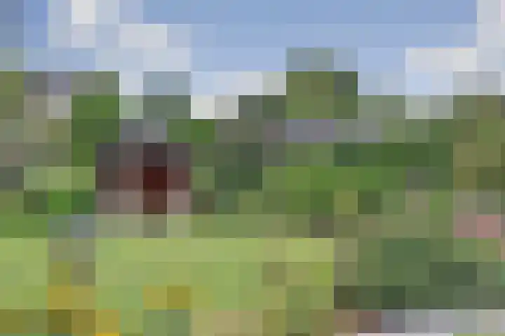 Blériotstraat 24 Teuge thumbnail 27