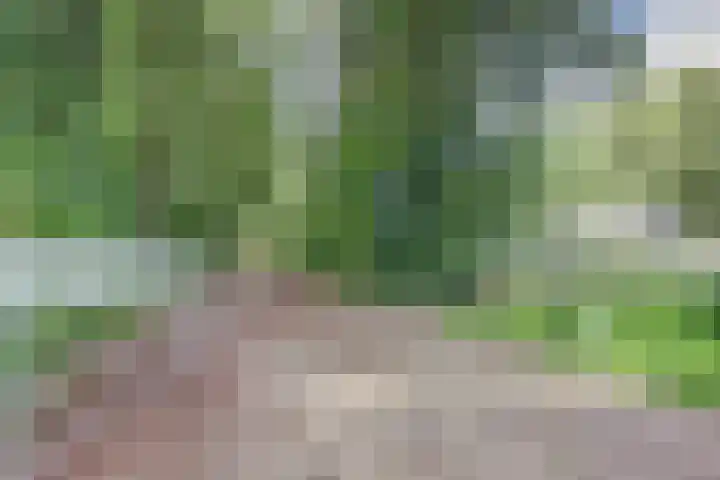Blériotstraat 24 Teuge thumbnail 36