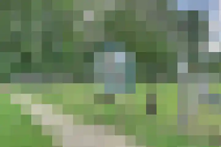 Blériotstraat 24 Teuge thumbnail 37