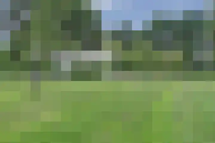 Blériotstraat 24 Teuge thumbnail 39