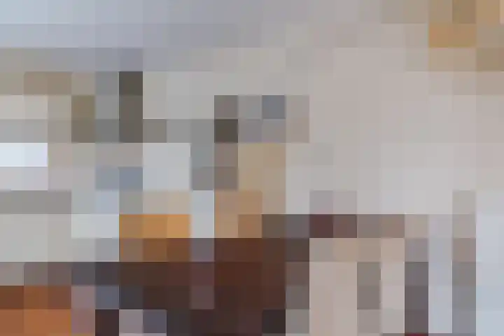 Blesdijk 12 Den Ham thumbnail 10