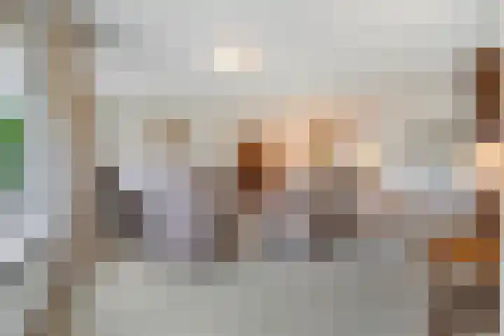 Blesdijk 12 Den Ham thumbnail 18