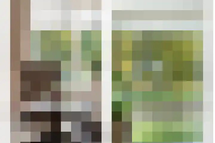 Blesdijk 12 Den Ham thumbnail 19