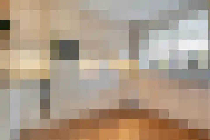 Blesdijk 12 Den Ham thumbnail 26