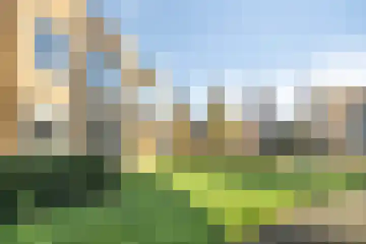 Blesdijk 12 Den Ham thumbnail 45