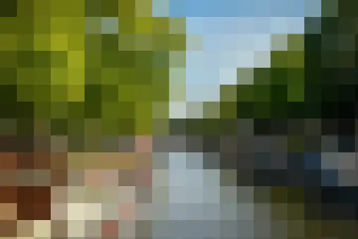 Blesdijk 12 Den Ham thumbnail 9