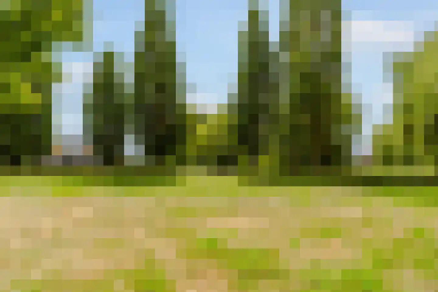 Blesdijk 4 Den Ham thumbnail 39