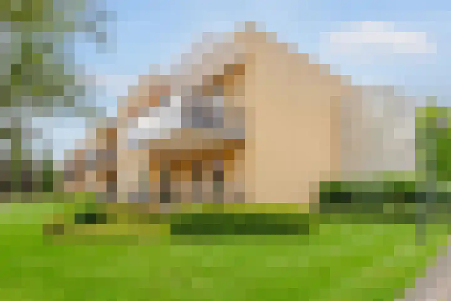 Blesdijk 4 Den Ham thumbnail 4