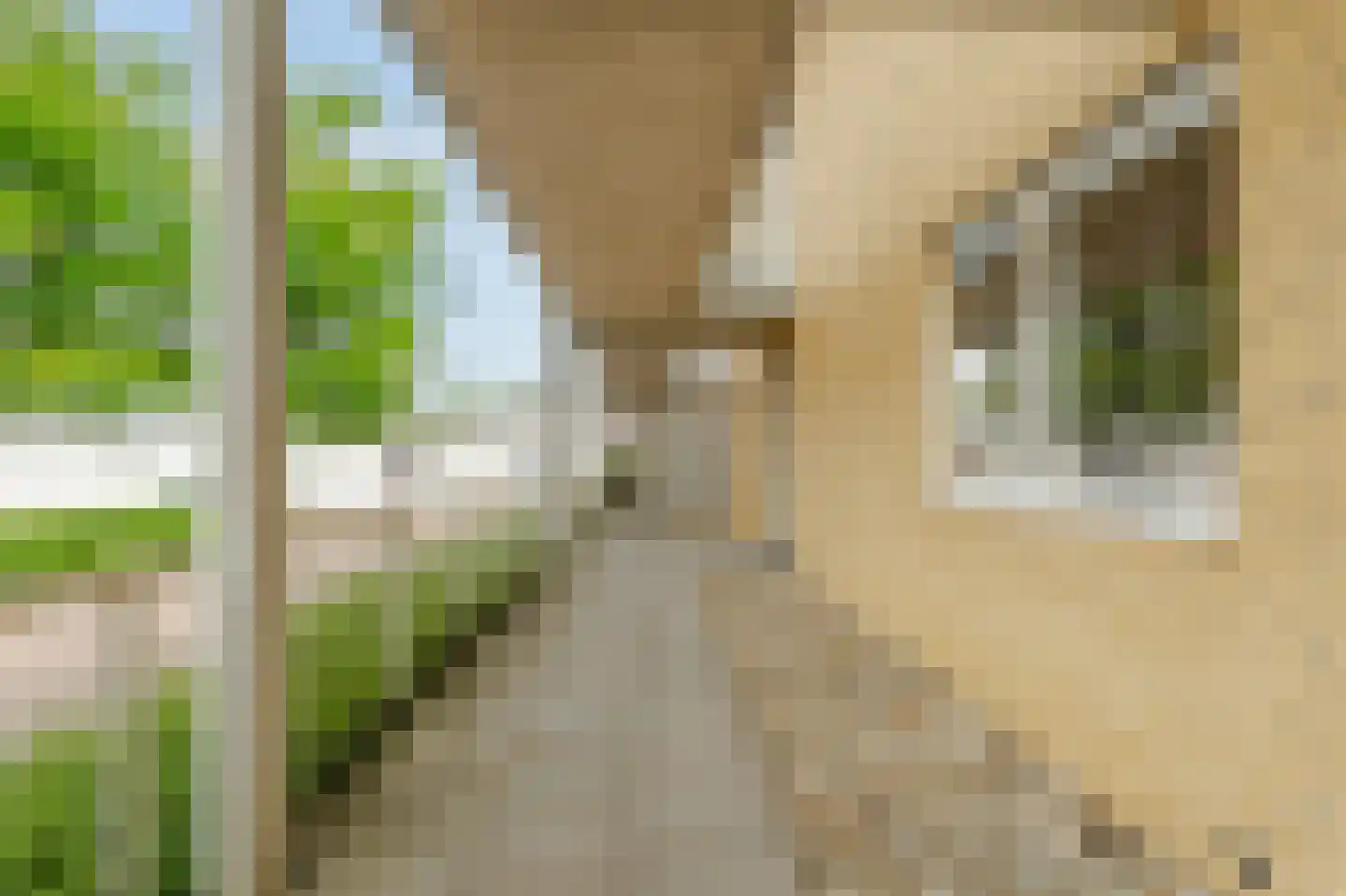 Blesdijk 4 Den Ham thumbnail 7