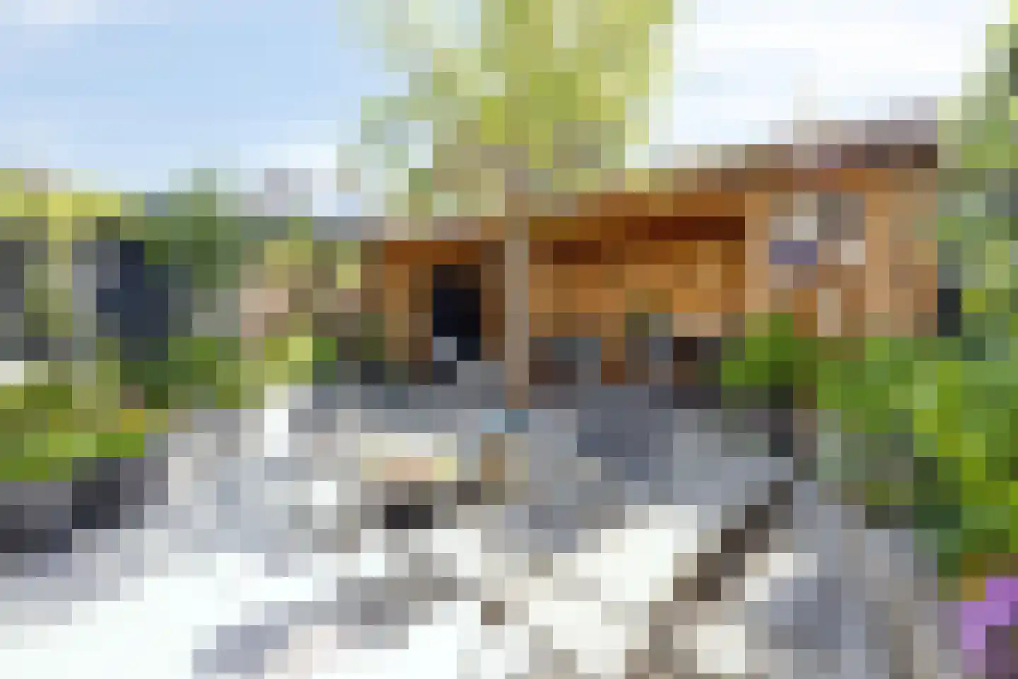 Blesstraat 4 Hoek van Holland thumbnail 5