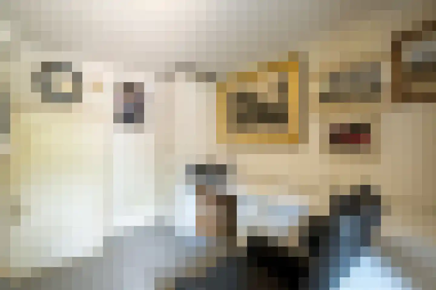 Bleukweg 6 Tilburg thumbnail 16