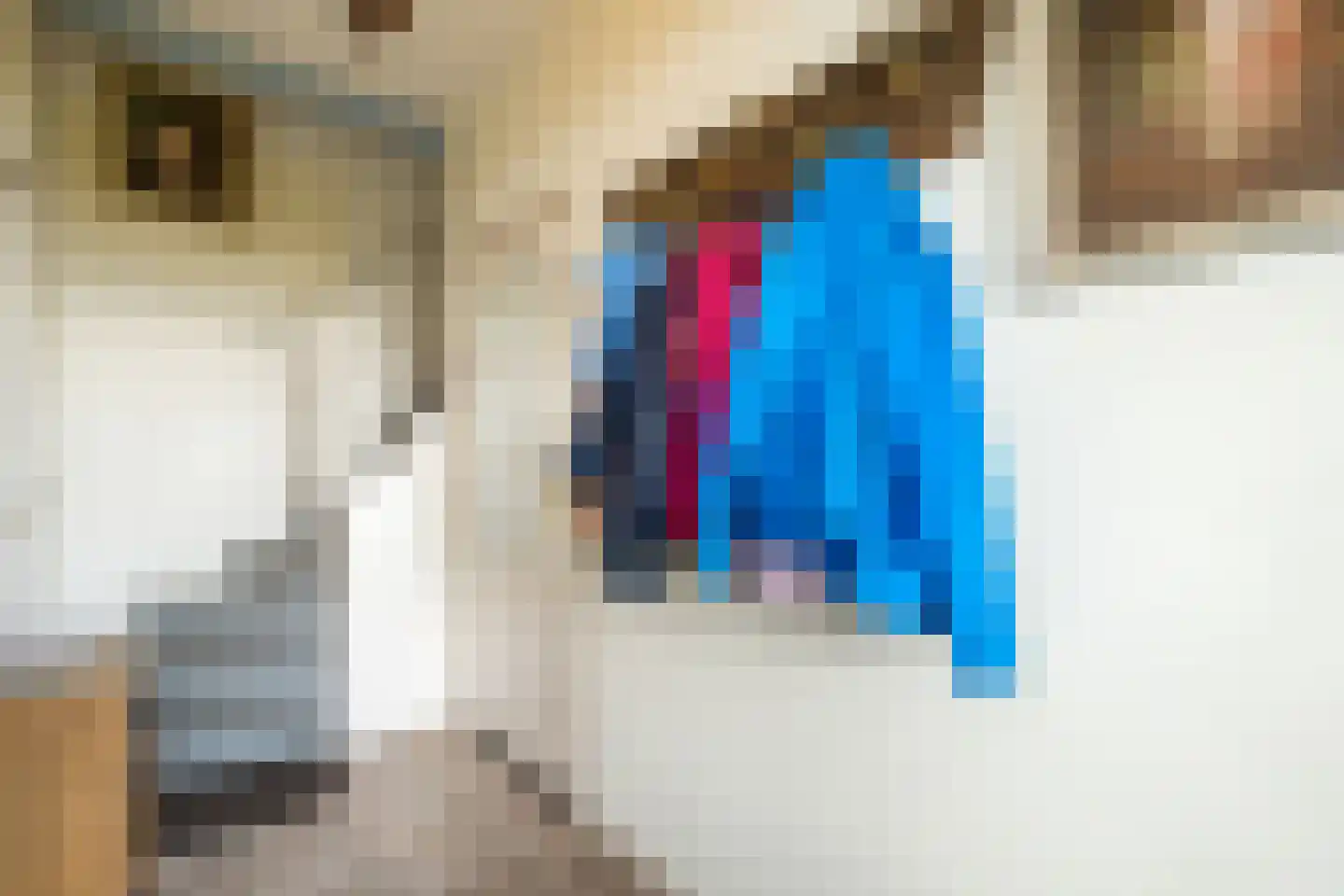 Bleukweg 6 Tilburg thumbnail 22