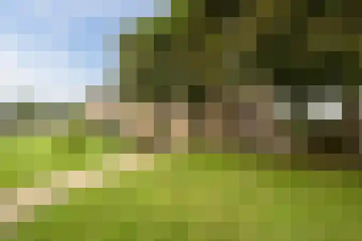 Bleukweg 6 Tilburg thumbnail 30
