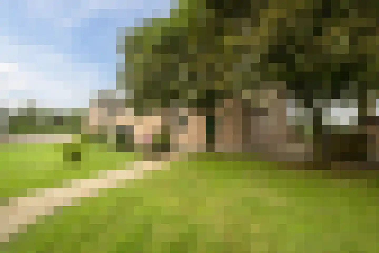 Bleukweg 6 Tilburg thumbnail 30