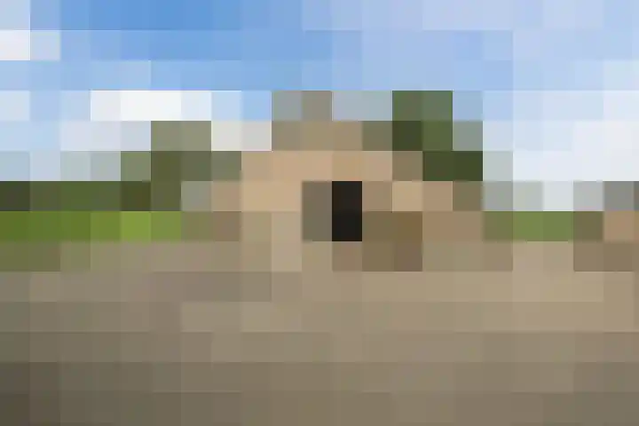Bleukweg 6 Tilburg thumbnail 59